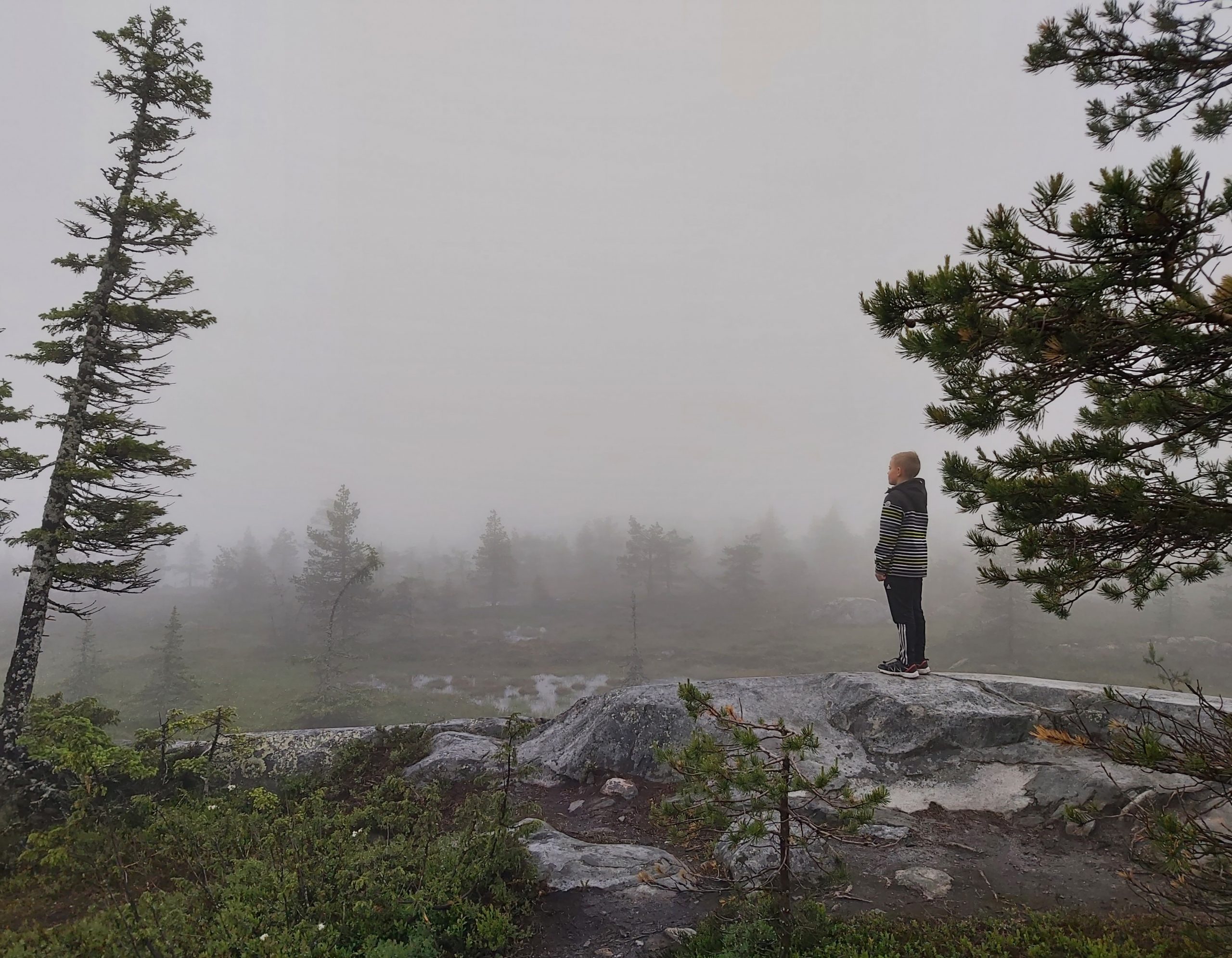 Sanat hiljaisuuden takana