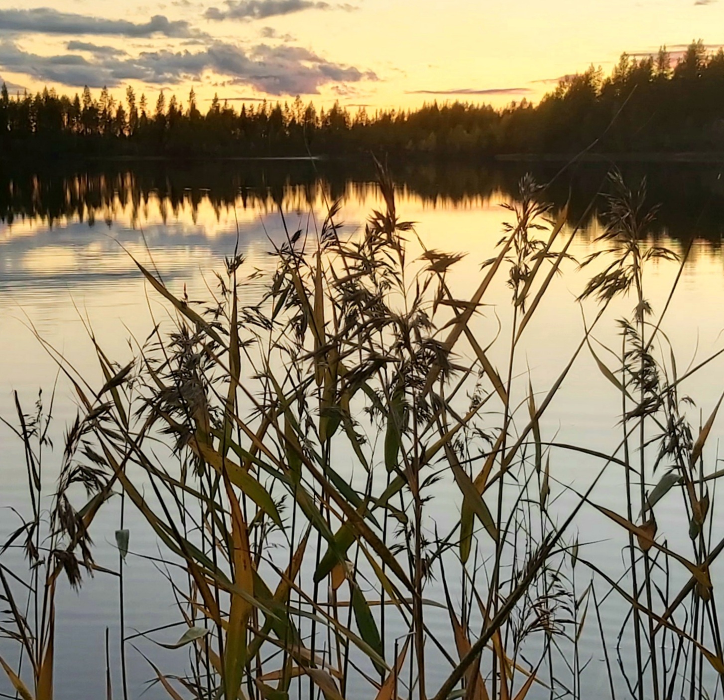 Äiti, kuka sinua kantaa