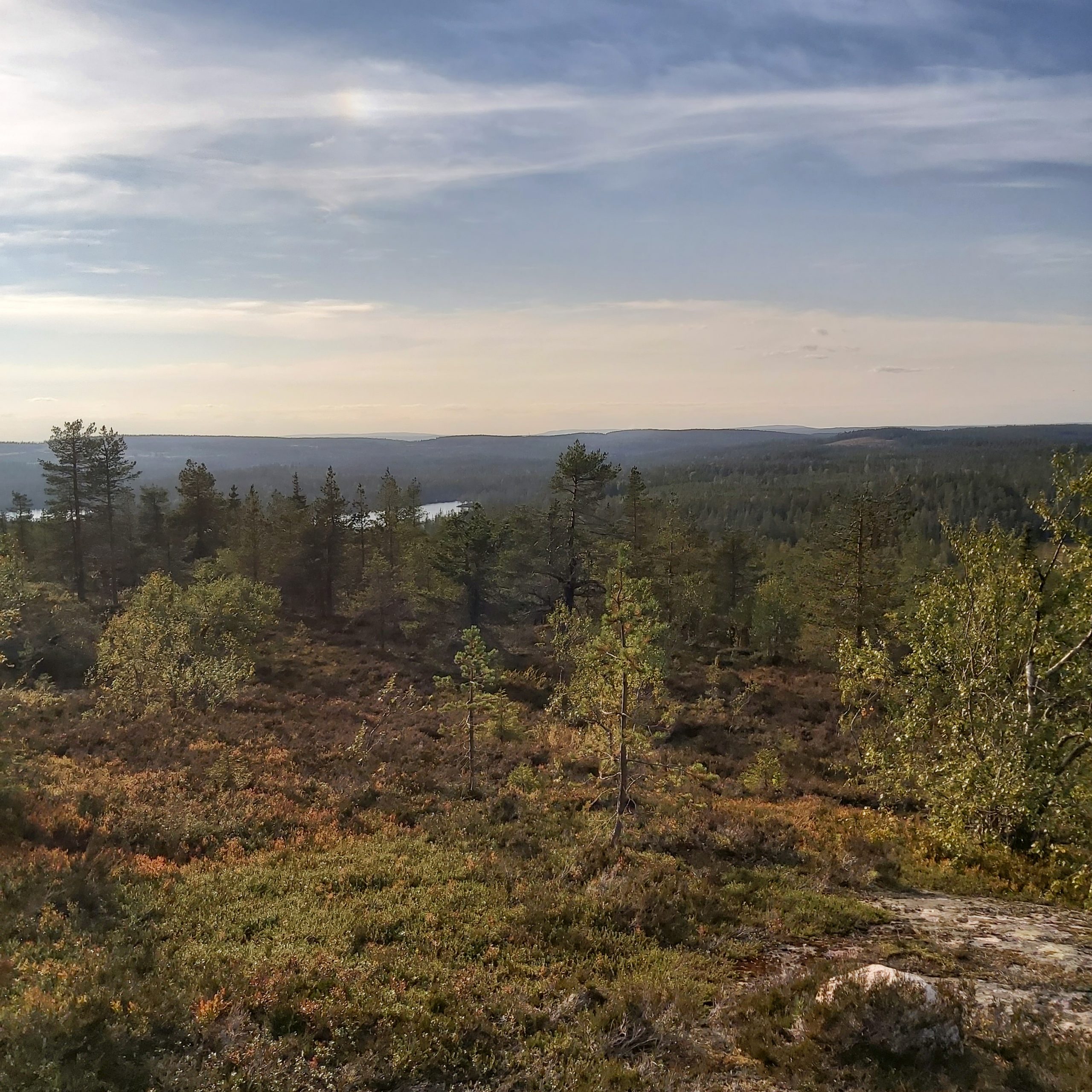 Ajatusvirtaa, tai ei