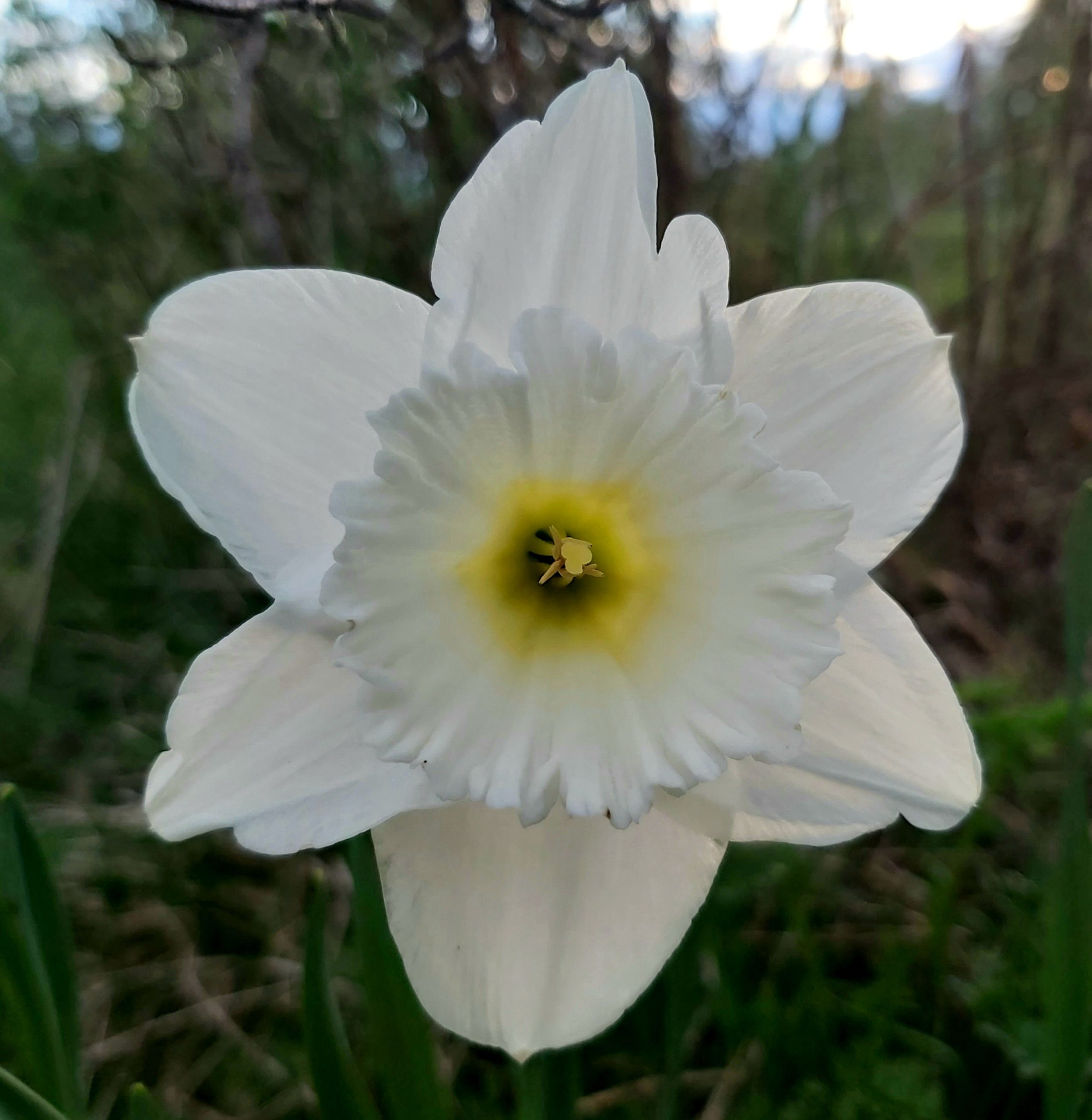 Kuvitus vailla tarinaa