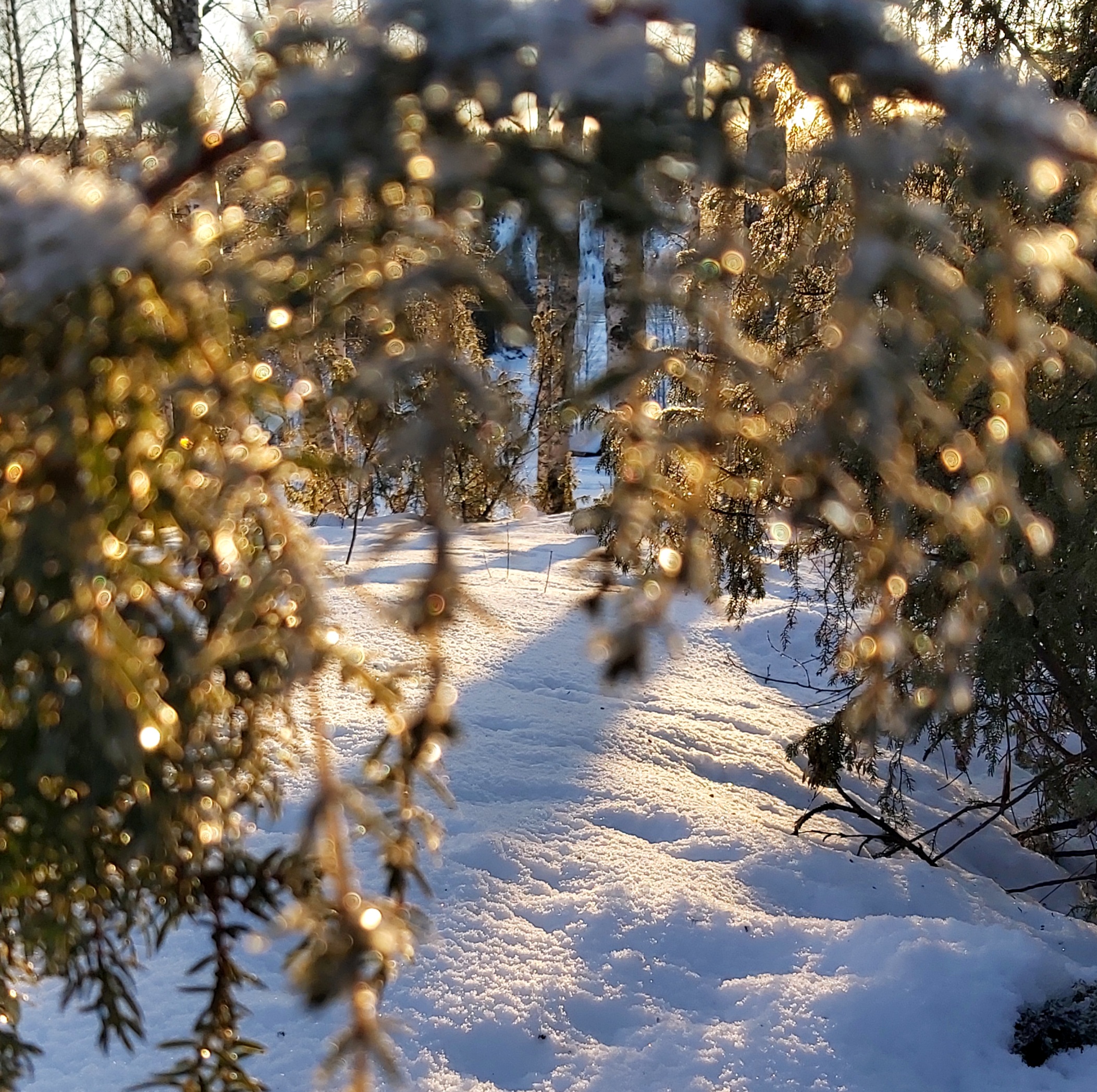 Tartun tarinaan, joka kantaa