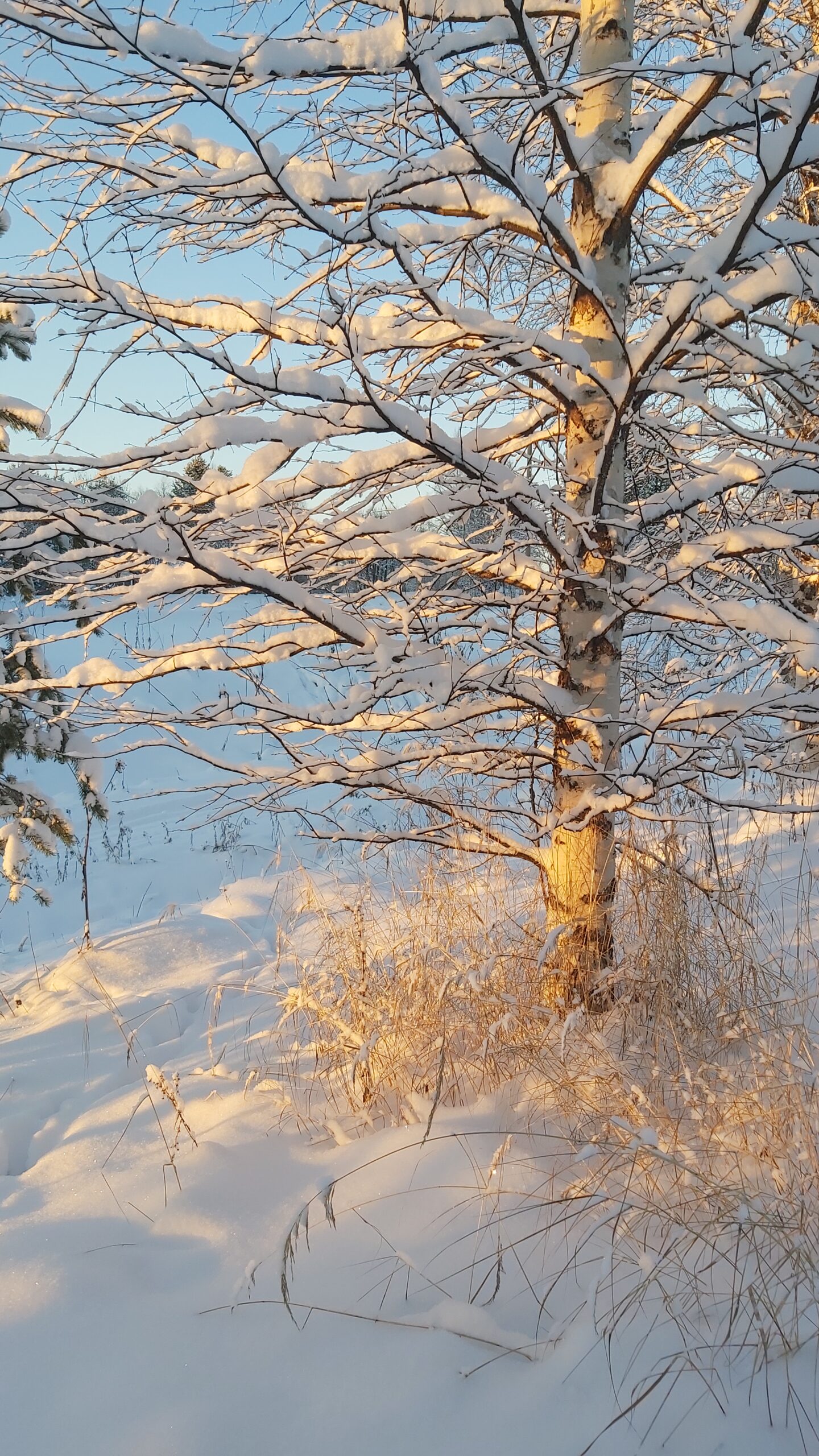 Entä jos nyt on nyt