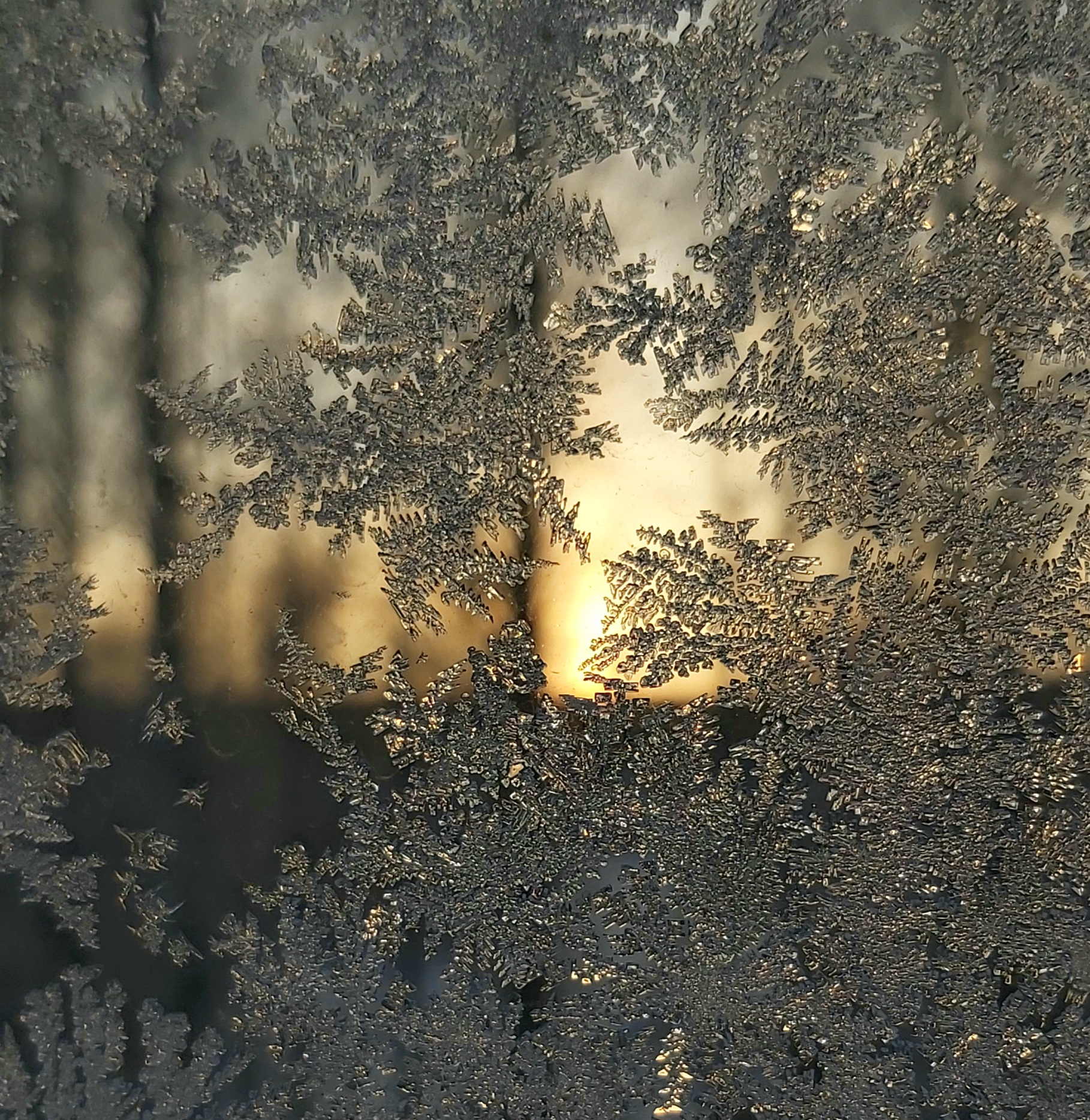 Valo kulkee matalalla