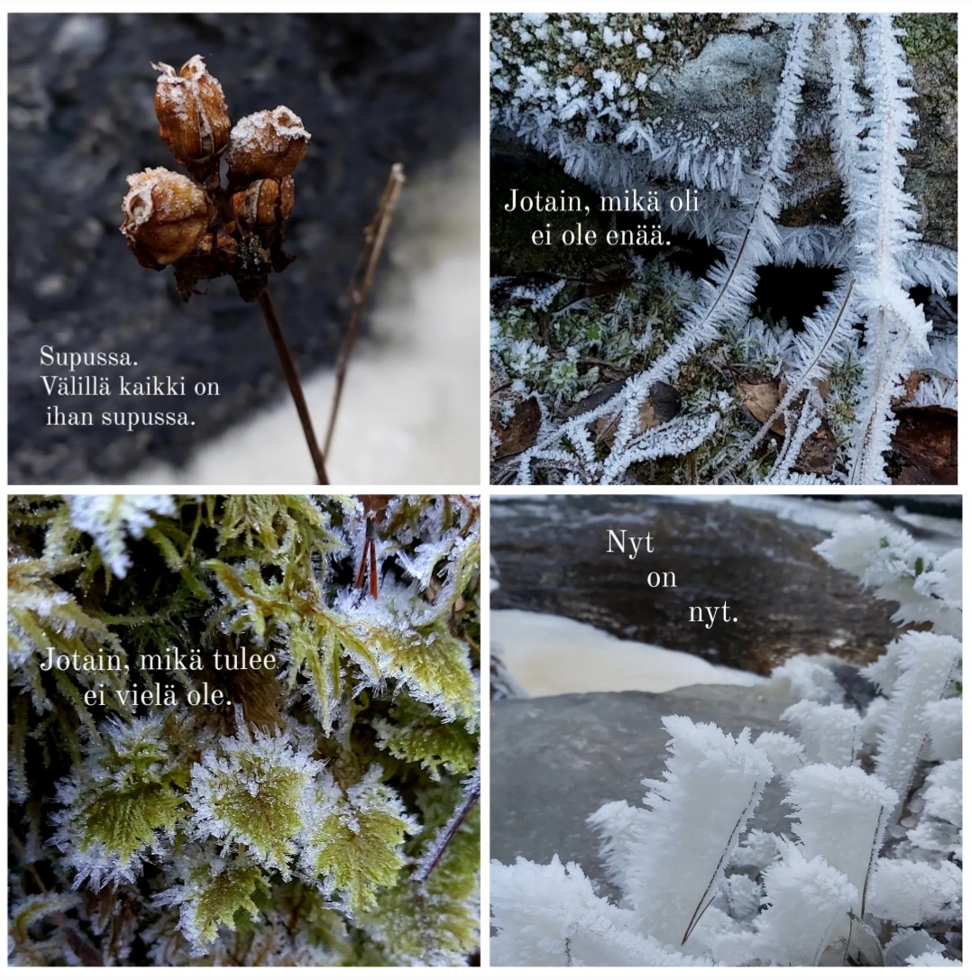 Valo ei jätä hipaisematta