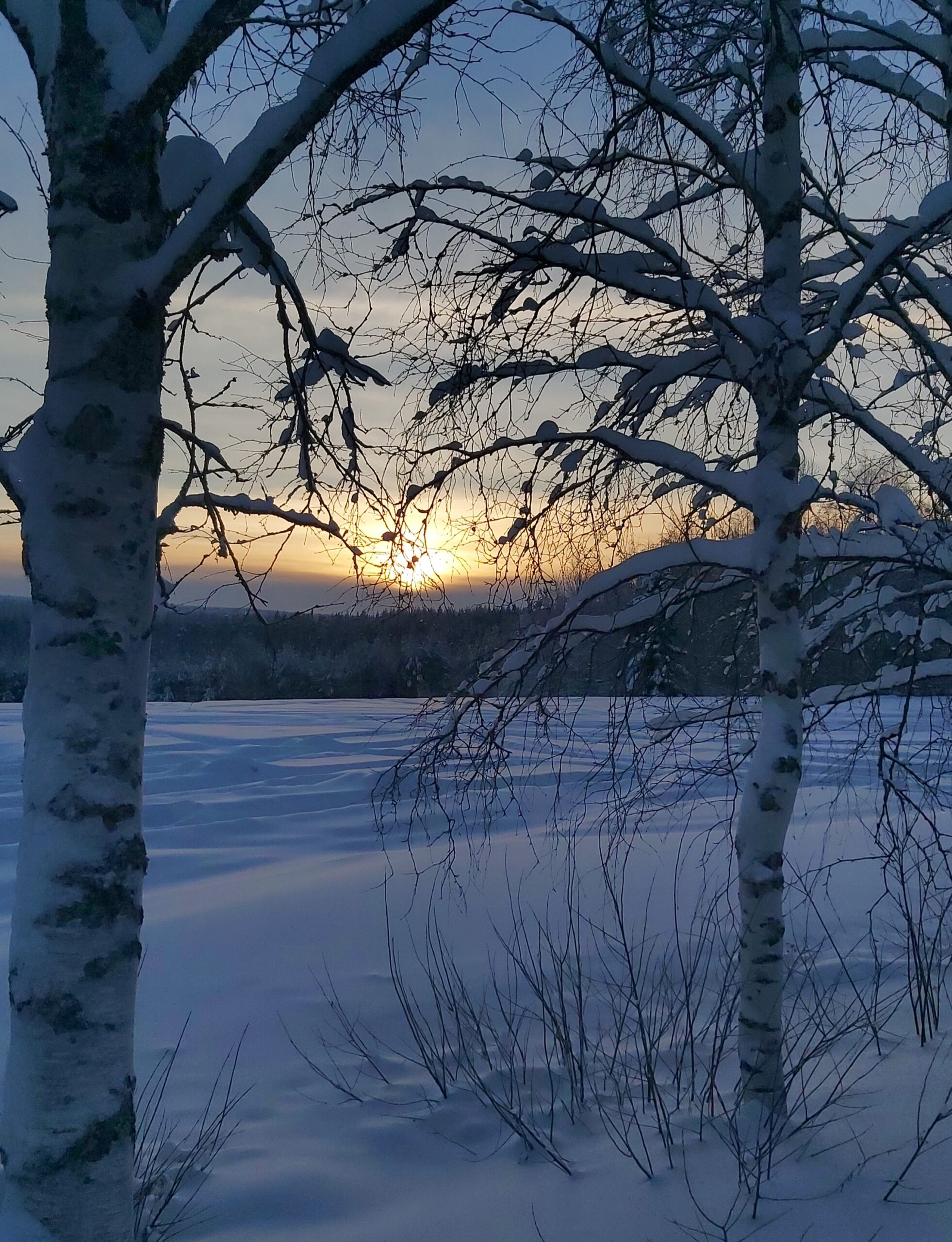 Ajatuksia lapsen koulutiellä