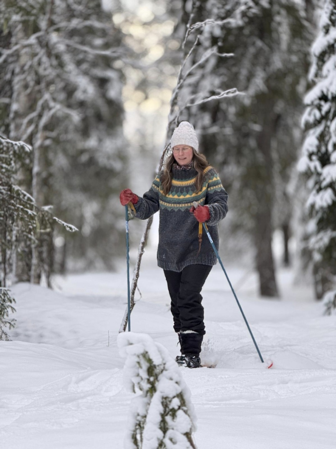 Joulupukki toi risuja