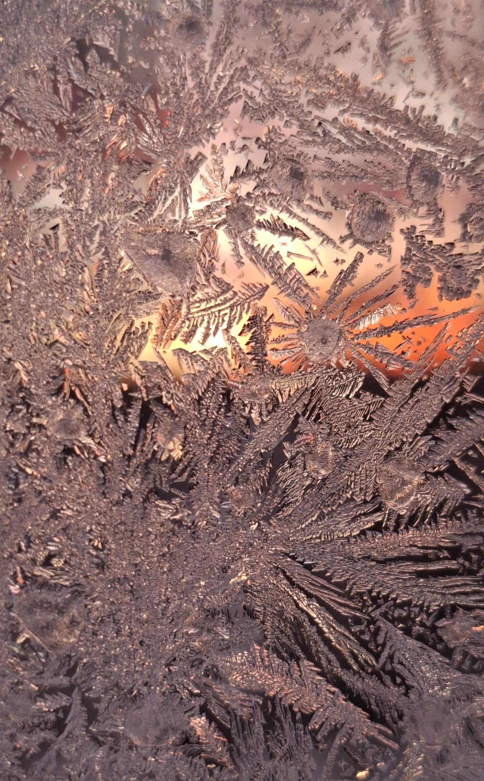 Kiitollinen jo yhdestä päivästä